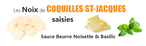 recette lefish gourmand de noix de coquilles saint jacques sans corail saisies au beurre noisette et basilic